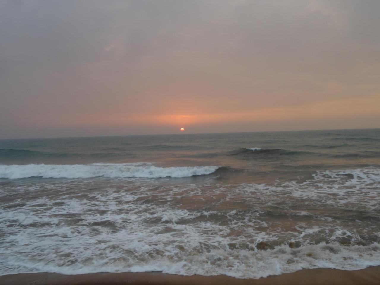 Amssler Beach Stay 칼루타라 외부 사진