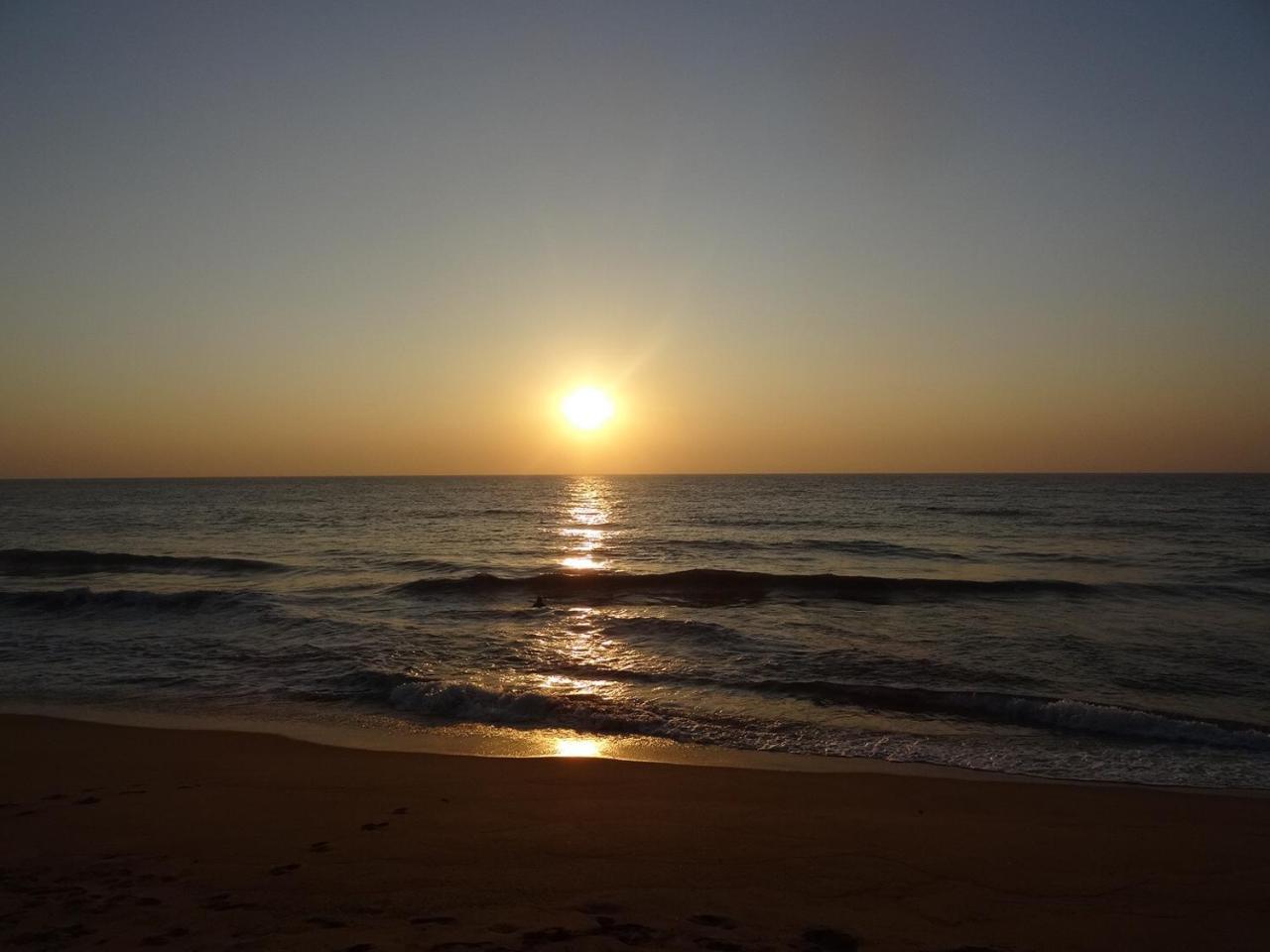 Amssler Beach Stay 칼루타라 외부 사진