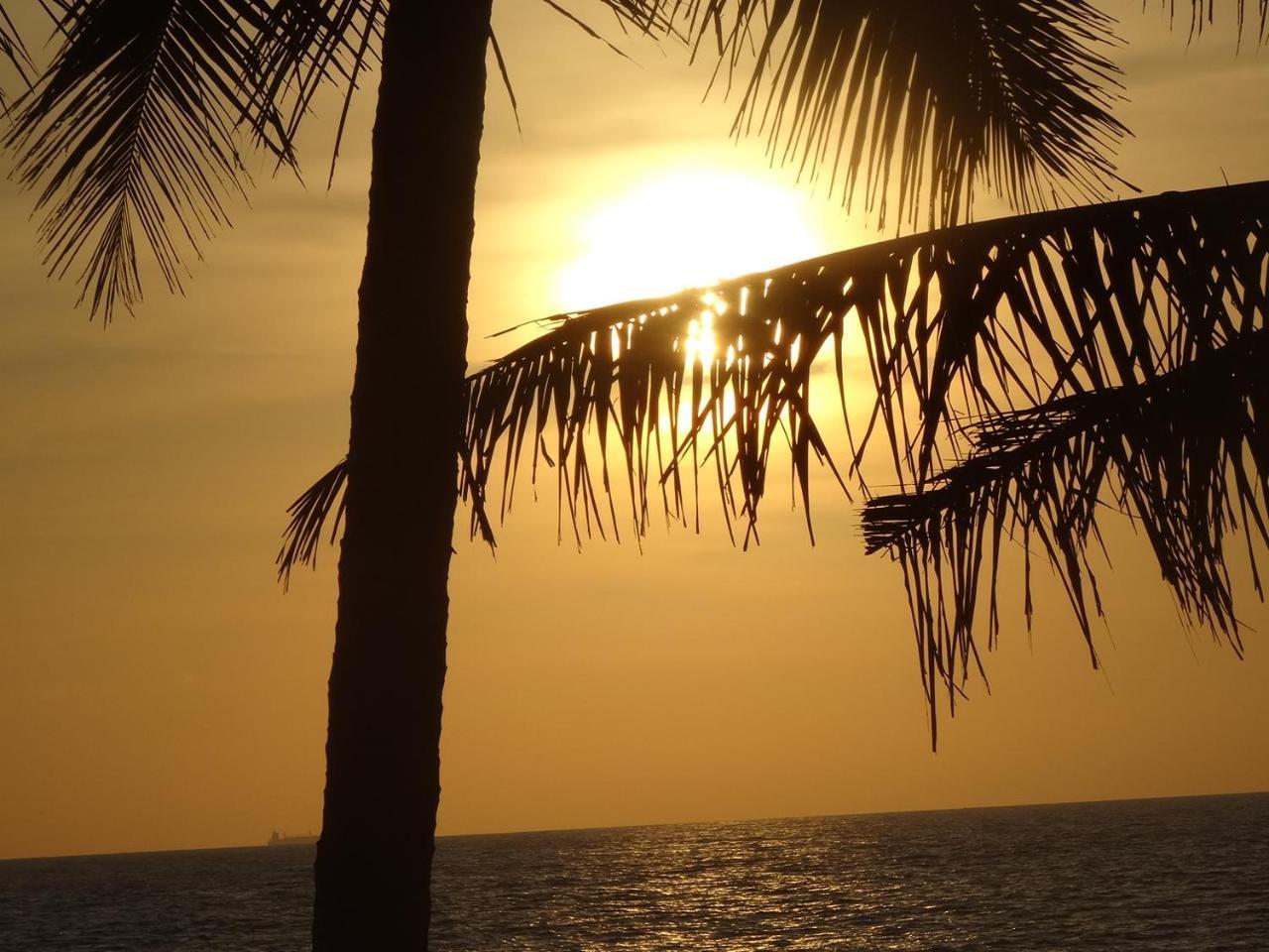 Amssler Beach Stay 칼루타라 외부 사진