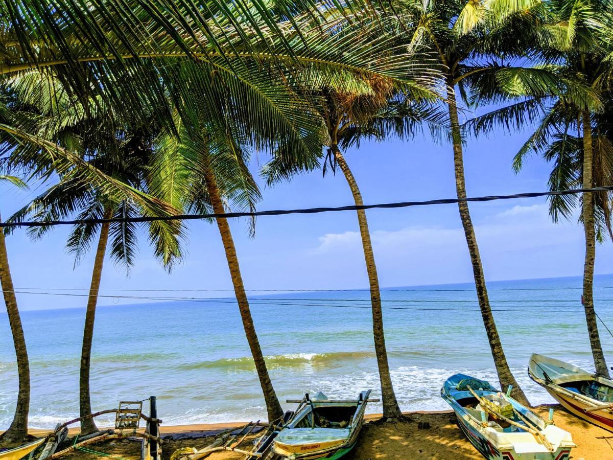 Amssler Beach Stay 칼루타라 외부 사진